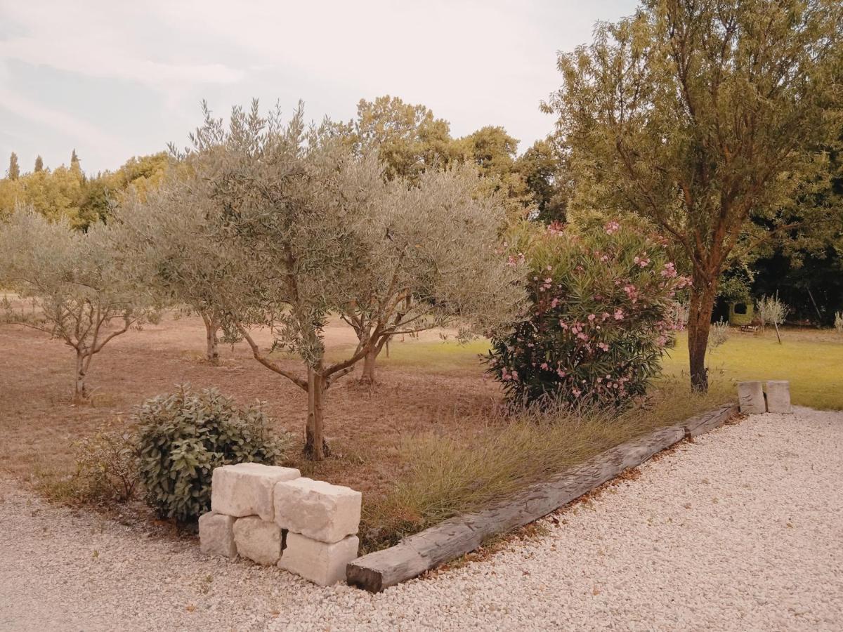 Gite Du Mas De La Finiere ,Avec Spa Interieur Châteaurenard المظهر الخارجي الصورة