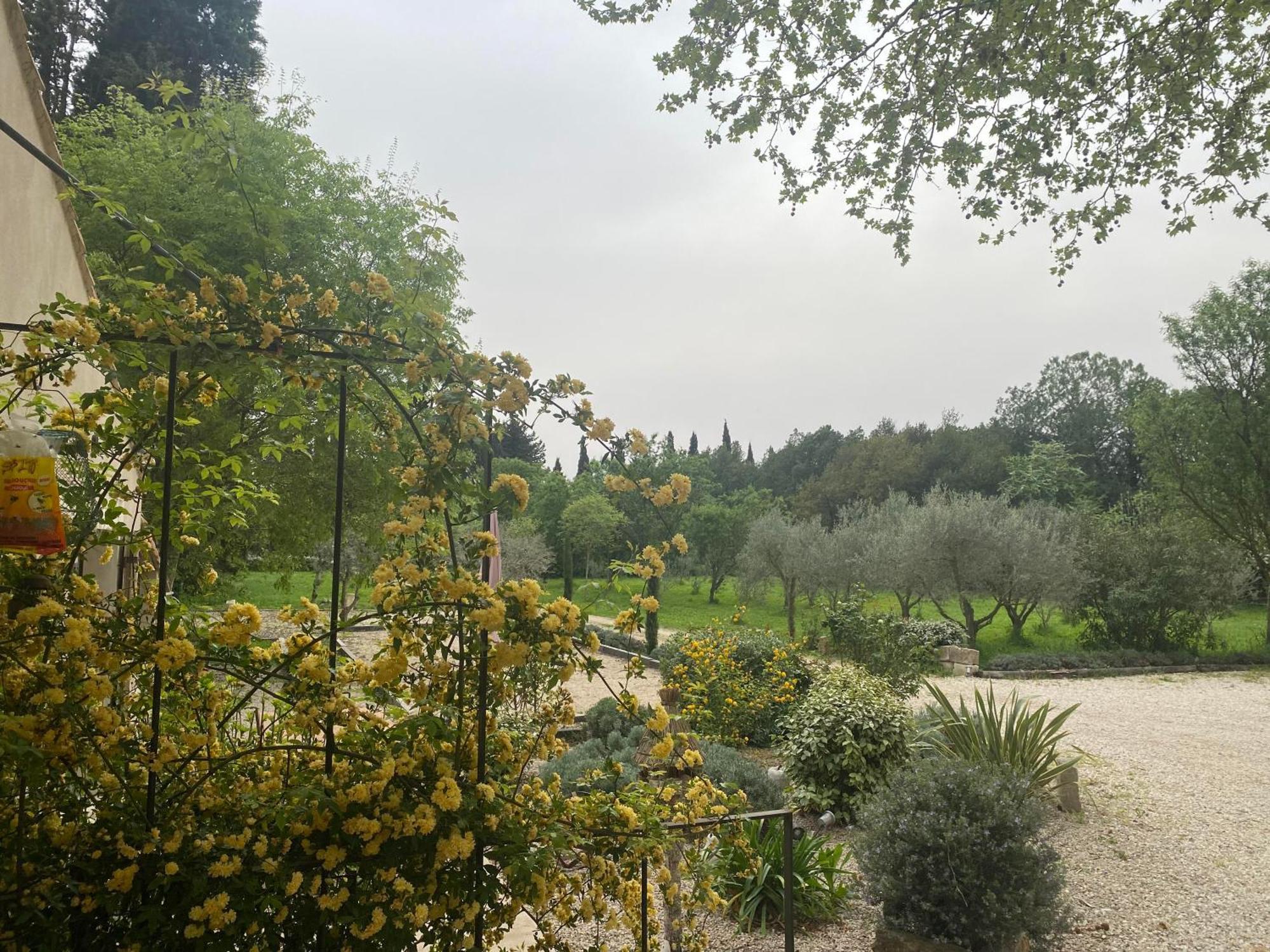 Gite Du Mas De La Finiere ,Avec Spa Interieur Châteaurenard المظهر الخارجي الصورة